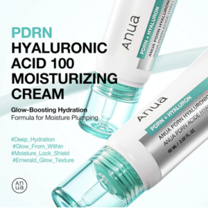 Anua PDRN Hyaluronic Acid 100 Moisturizing Cream 60ml