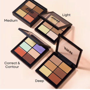 Nykaa SKINgenius Conceal and Correct Palette