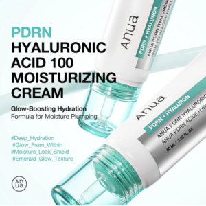 Anua PDRN Hyaluronic Acid 100 Moisturizing Cream 60ml